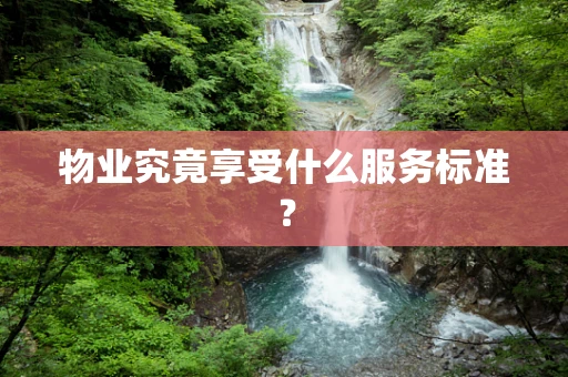 物业究竟享受什么服务标准？
