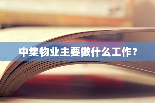 中集物业主要做什么工作？