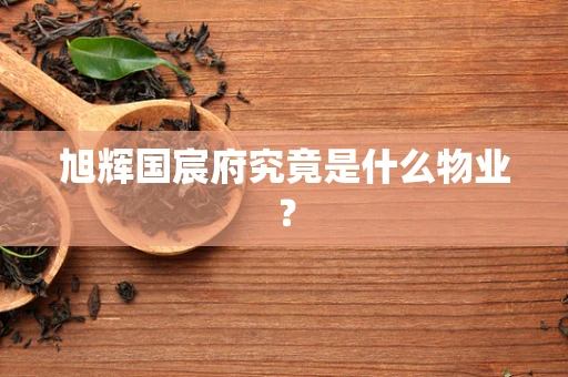 旭辉国宸府究竟是什么物业？