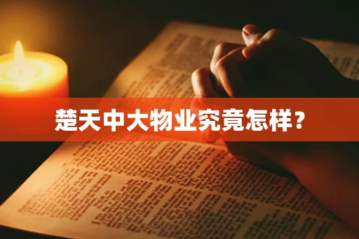楚天中大物业究竟怎样？