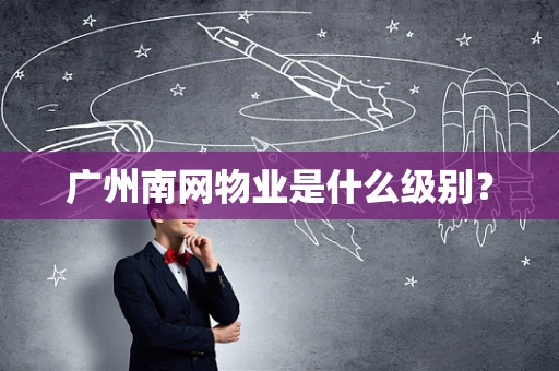 广州南网物业是什么级别？