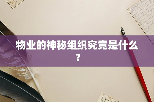 物业的神秘组织究竟是什么？