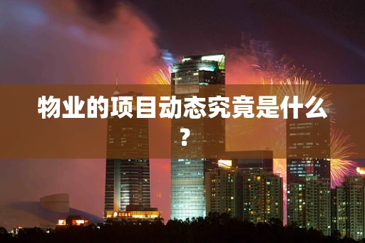 物业的项目动态究竟是什么？