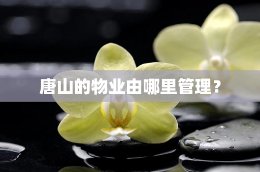 唐山的物业由哪里管理？