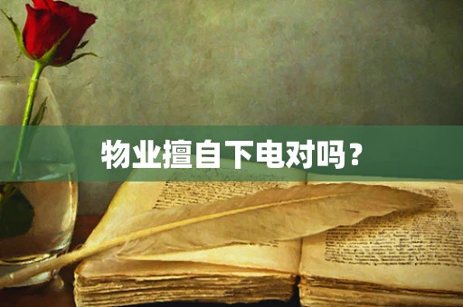 物业擅自下电对吗？