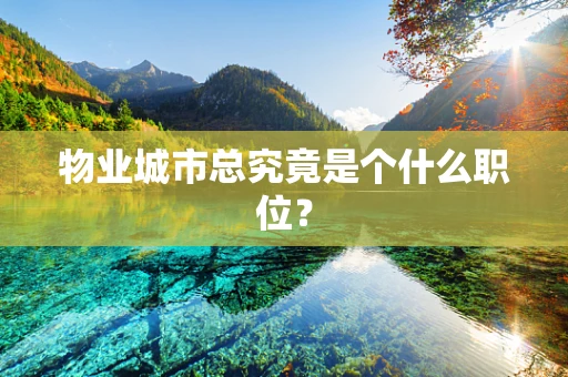 物业城市总究竟是个什么职位？