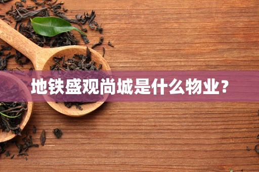 地铁盛观尚城是什么物业？
