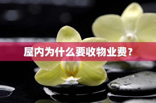 屋内为什么要收物业费？