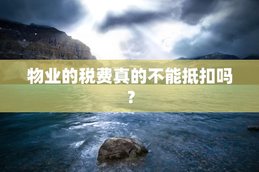 物业的税费真的不能抵扣吗？