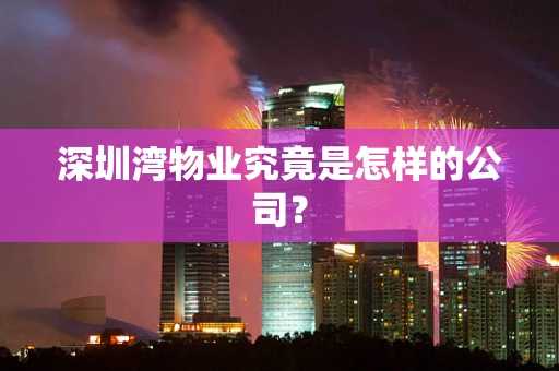 深圳湾物业究竟是怎样的公司？