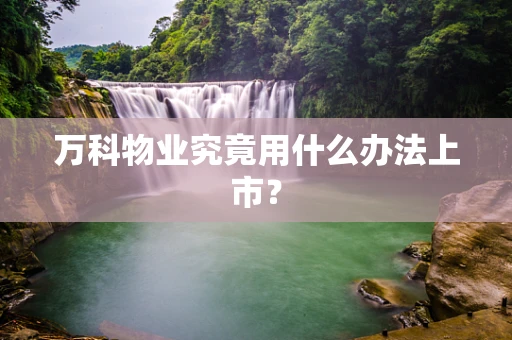 万科物业究竟用什么办法上市？