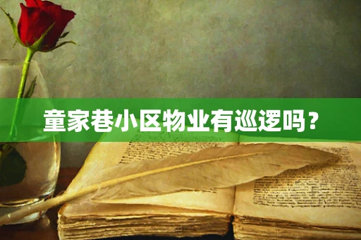 童家巷小区物业有巡逻吗？