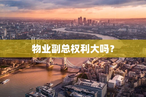 物业副总权利大吗？