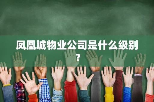 凤凰城物业公司是什么级别？