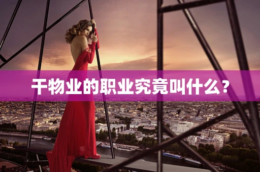 干物业的职业究竟叫什么？