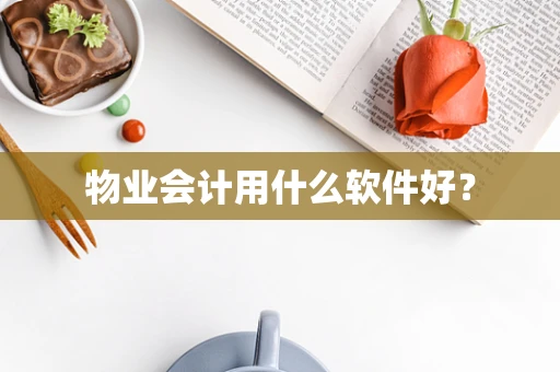 物业会计用什么软件好？