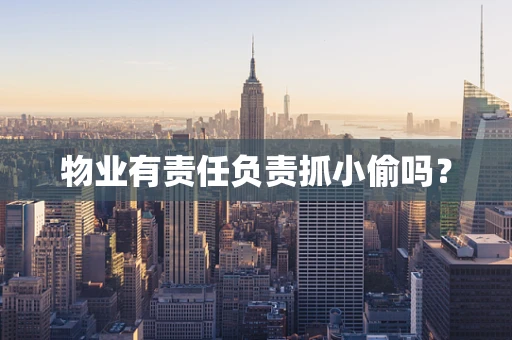 物业有责任负责抓小偷吗？