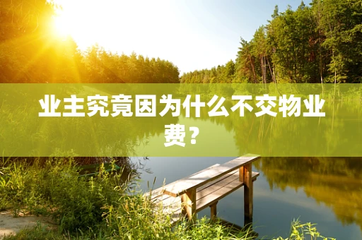 业主究竟因为什么不交物业费？