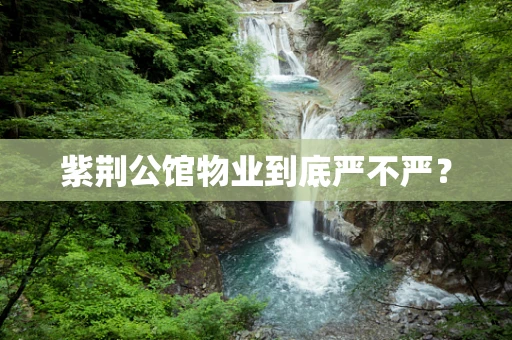 紫荆公馆物业到底严不严？