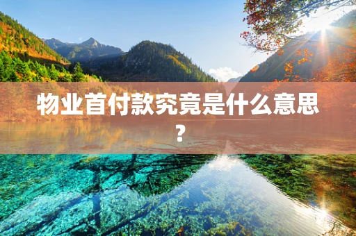 物业首付款究竟是什么意思？