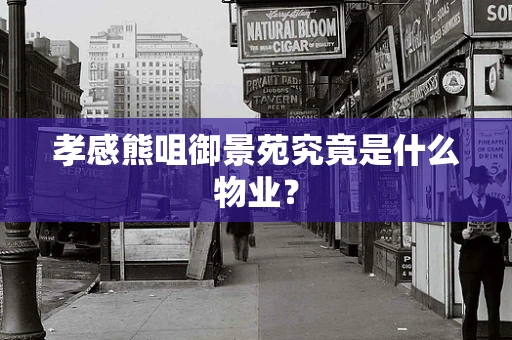 孝感熊咀御景苑究竟是什么物业？