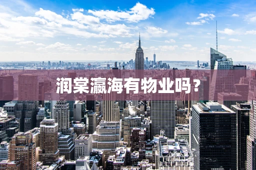 润棠瀛海有物业吗？