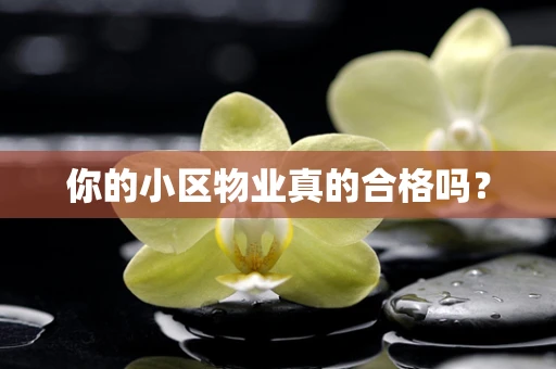 你的小区物业真的合格吗？