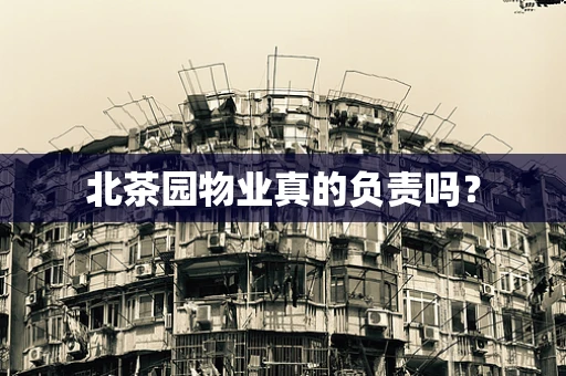 北茶园物业真的负责吗？
