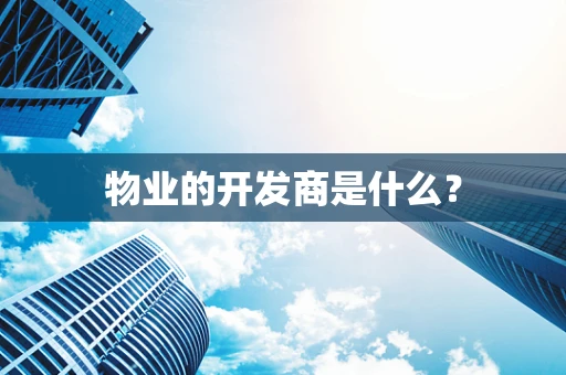 物业的开发商是什么？