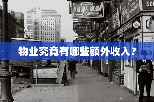 物业究竟有哪些额外收入？