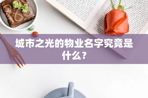 城市之光的物业名字究竟是什么？