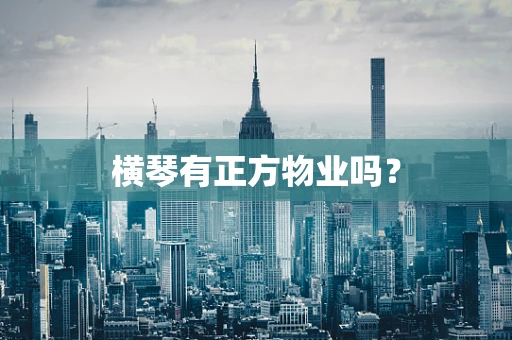 横琴有正方物业吗？