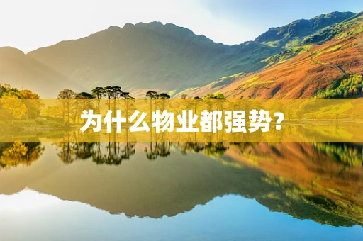 为什么物业都强势？
