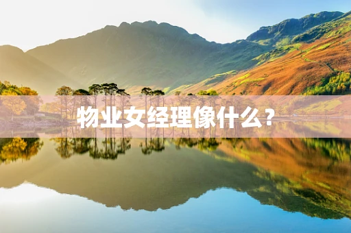 物业女经理像什么？