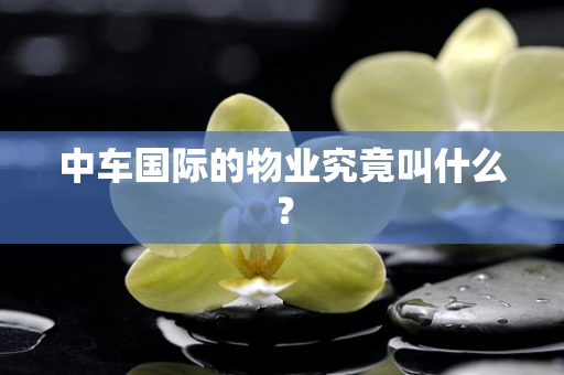 中车国际的物业究竟叫什么？