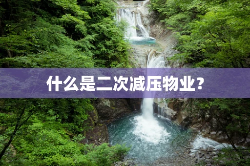 什么是二次减压物业？
