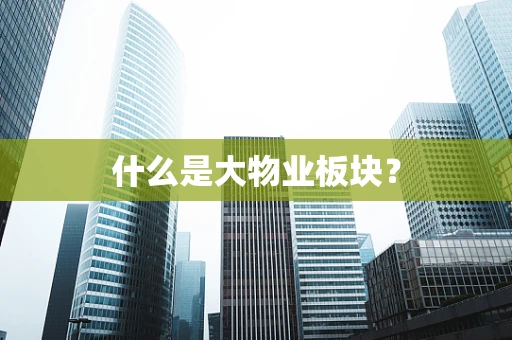 什么是大物业板块？