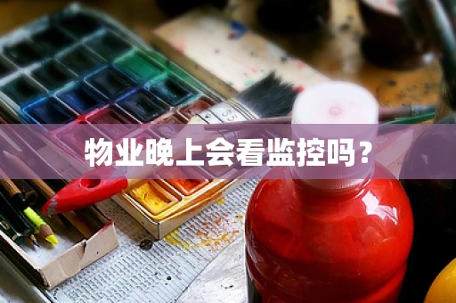 物业晚上会看监控吗？