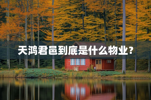 天鸿君邑到底是什么物业？