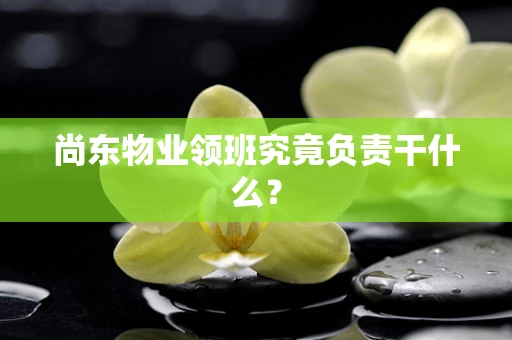 尚东物业领班究竟负责干什么？