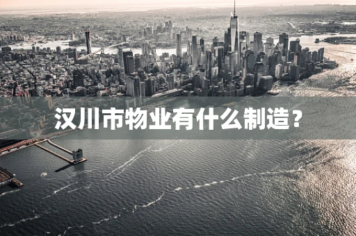 汉川市物业有什么制造？