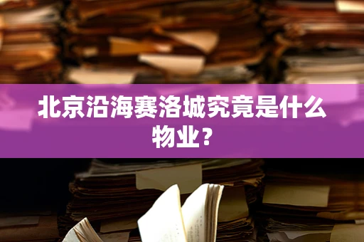 北京沿海赛洛城究竟是什么物业？