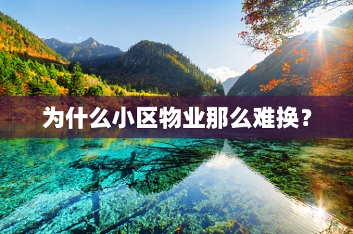 为什么小区物业那么难换？