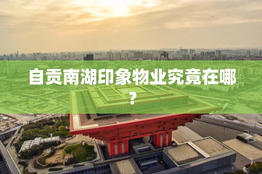 自贡南湖印象物业究竟在哪？