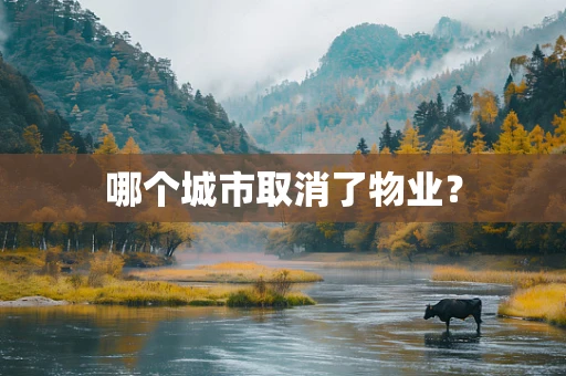 哪个城市取消了物业？
