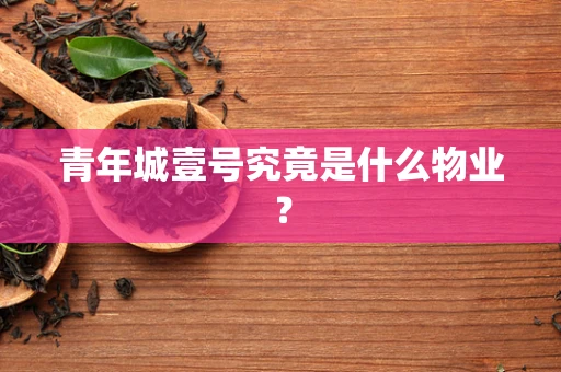 青年城壹号究竟是什么物业？