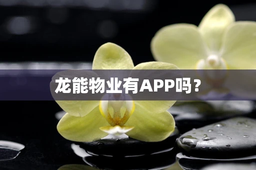 龙能物业有APP吗？