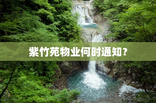 紫竹苑物业何时通知？