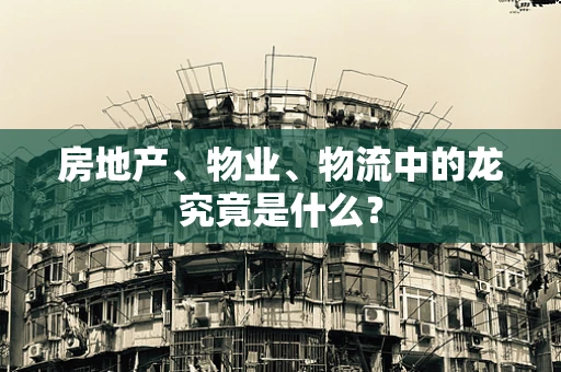 房地产、物业、物流中的龙究竟是什么？