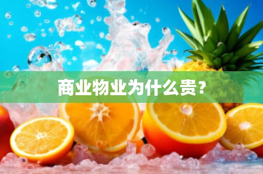 商业物业为什么贵？